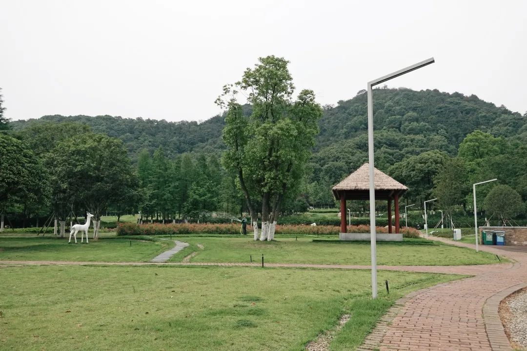 DƬ
